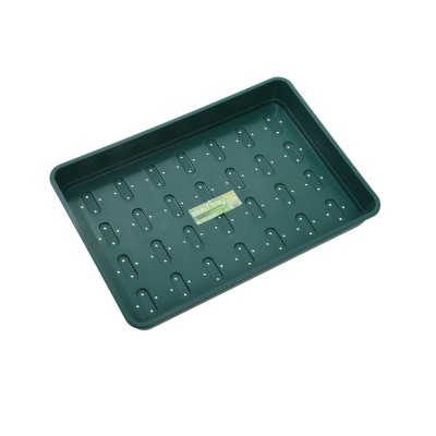 Bandeja de Sementeira XL verde com furos