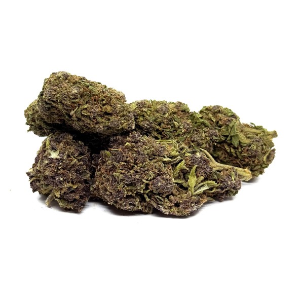 Premiumqualität CBD-Blüte Purple Haze 20 Indoor