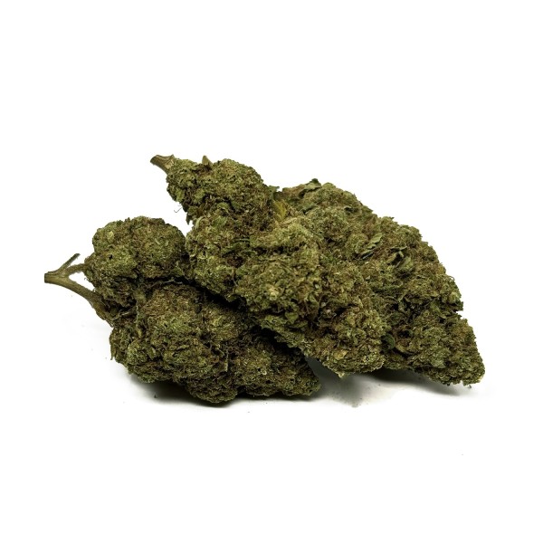 CBD-Blüte Blue Dream Greenhouse