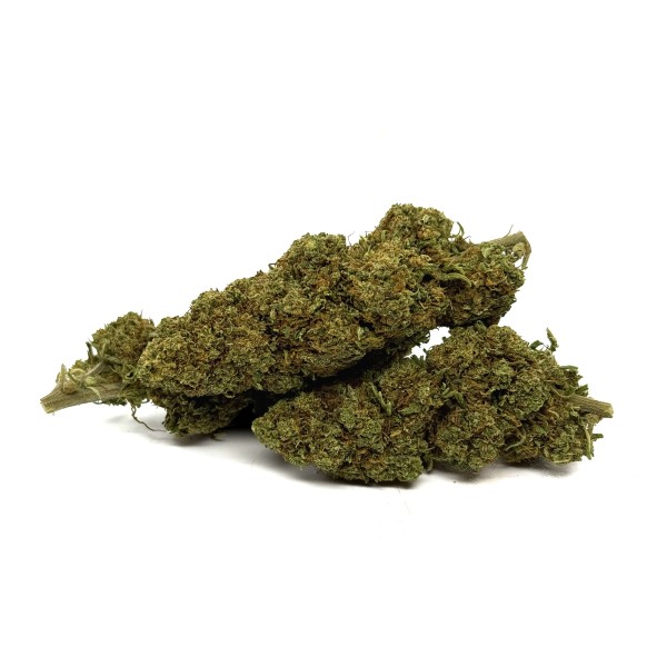 Orange Bud Greenhouse CBD Flower