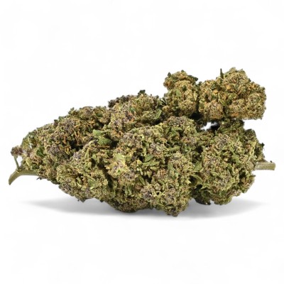 Purple Cookie Premium CBD - Flor Excepcional Golosa Purple Cookie Premium CBD - Flor Excepcional Golosa