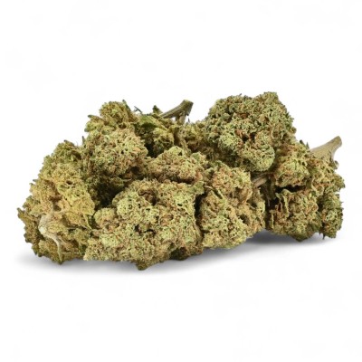 Fiore CBD Remedy Note di Pino Silvestre Fiore CBD Remedy Note di Pino Silvestre