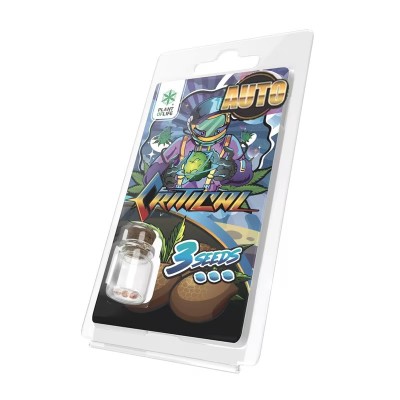 3 Sementes Critical AUTO | Plant of Life 3 Sementes Critical AUTO | Plant of Life