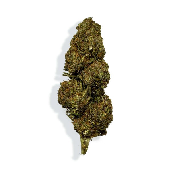 CBD-Blüte - BLAUBEERE