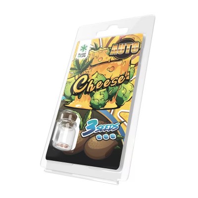 3 Sementes Cheese AUTO | Plant of Life 3 Sementes Cheese AUTO | Plant of Life