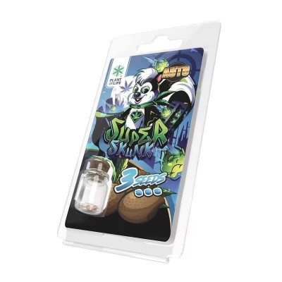 3 Sementes Super Skunk AUTO | Plant of Life 3 Sementes Super Skunk AUTO | Plant of Life