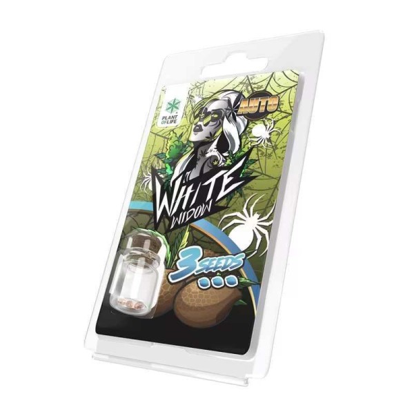 3 Sementes White Widow AUTO | Plant of Life