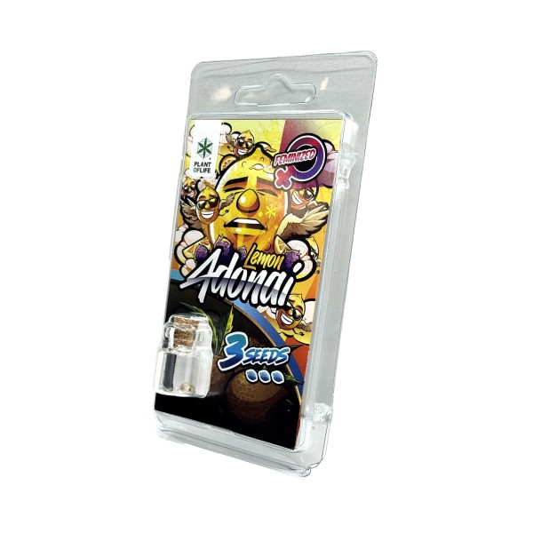3 Sementes Lemon Adonai FEMINIZADA | Plant of Life