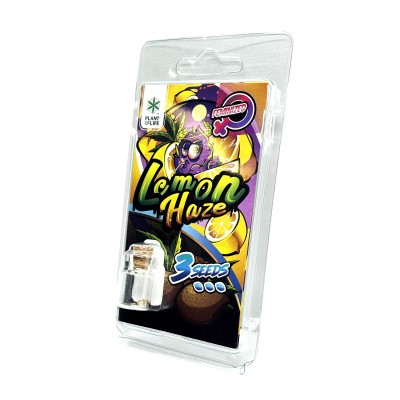 3 Sementes Lemon Haze FEMINIZADA | Plant of Life 3 Sementes Lemon Haze FEMINIZADA | Plant of Life