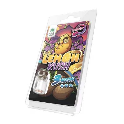 3 Sementes Lemon Kush FEMINIZADA | Plant of Life 3 Sementes Lemon Kush FEMINIZADA | Plant of Life