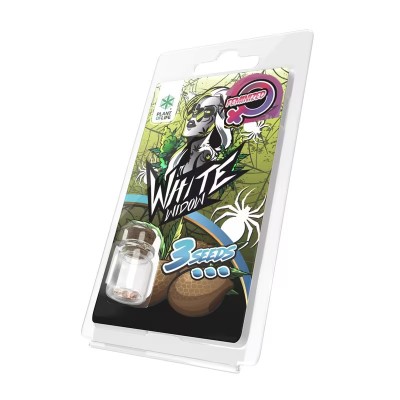 3 Sementes White Widow FEMINIZADA | Plant of Life 3 Sementes White Widow FEMINIZADA | Plant of Life