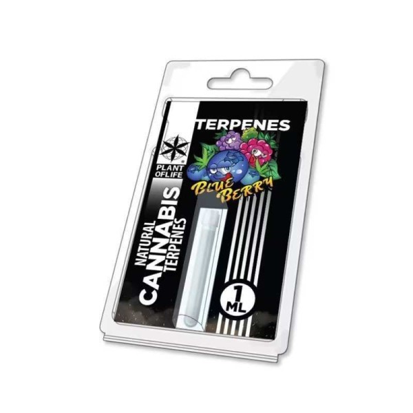 Blueberry Diesel Terpene | PLANT OF LIFE