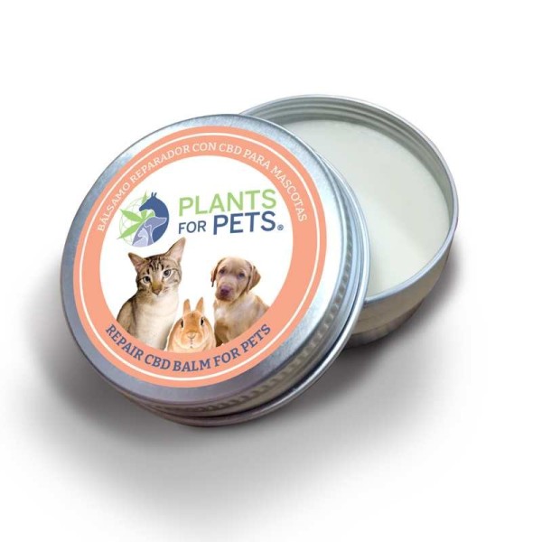 CBD-Reparaturbalsam für Tiere strong | PLANTS FOR PETS
