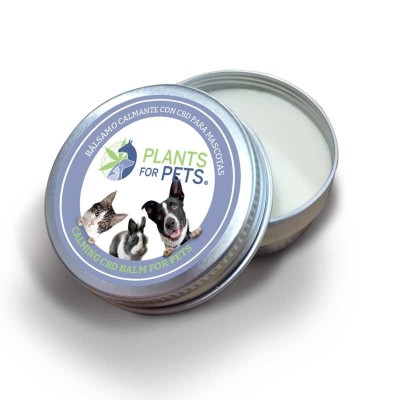 Soothing CBD Balm for Animals Plants for Pets 500mg