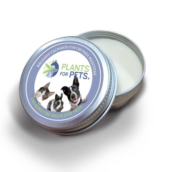 Bálsamo CBD calmante para animais Plants for Pets 500mg