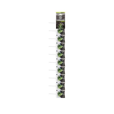 Lecca lecca alla cannabis white widow - 10 pezzi | MULTITRANCE