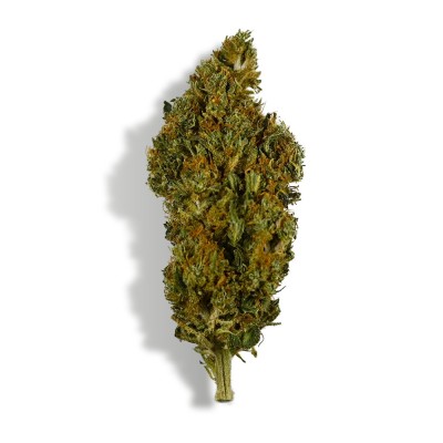CBD Flower - SHERBET CBD Flower - SHERBET